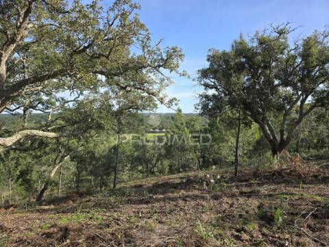 Terreno rústico - zona de vale figueira