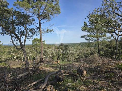 Terreno rústico - zona de vale figueira