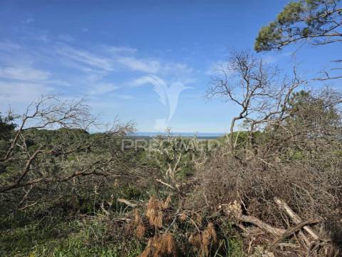 Terreno rústico - zona de vale figueira