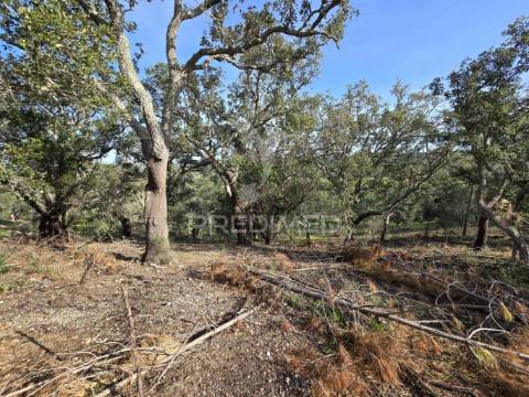 Terreno rústico - zona de vale figueira