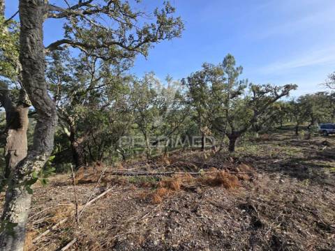 Terreno rústico - zona de vale figueira