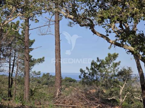 Terreno rústico - zona de vale figueira