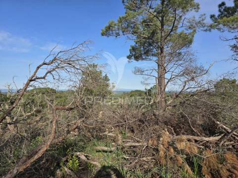 Terreno rústico - zona de vale figueira