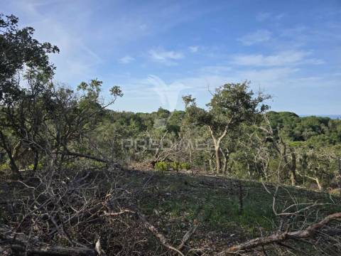 Terreno rústico - zona de vale figueira
