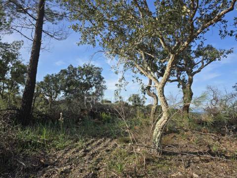 Terreno rústico - zona de vale figueira