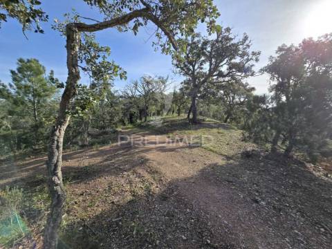 Terreno rústico - zona de vale figueira