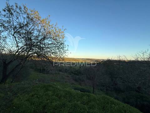 Terreno com 2 ruinas com exelente localização