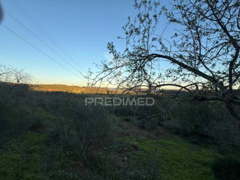 Terreno com 2 ruinas com exelente localização