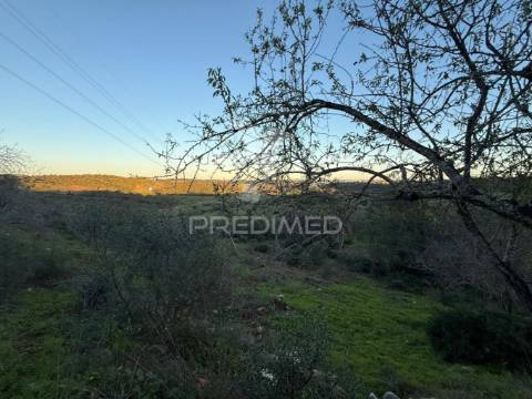 Terreno com 2 ruinas com exelente localização