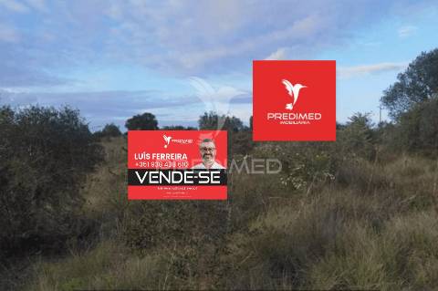 Terreno rústico, zibreira / torres novas