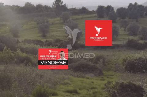 Terreno rústico, zibreira / torres novas