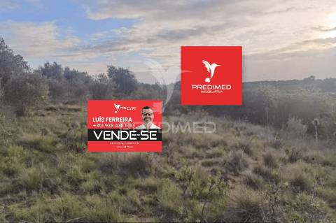 Terreno rústico, zibreira / torres novas