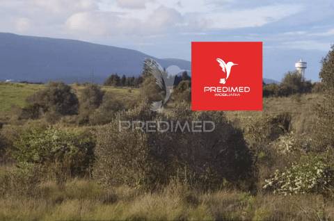 Terreno rústico, zibreira / torres novas