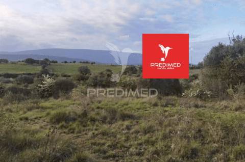 Terreno rústico, zibreira / torres novas