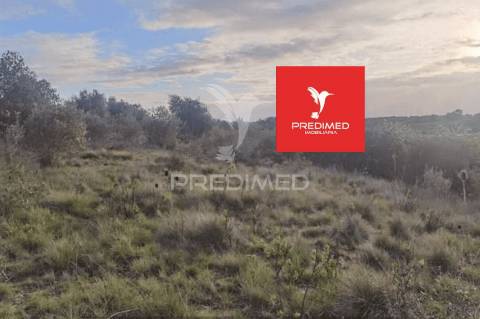 Terreno rústico, zibreira / torres novas