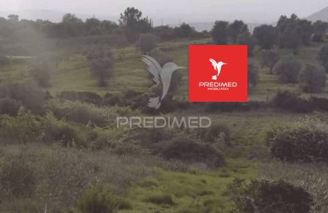 Terreno rústico, zibreira / torres novas