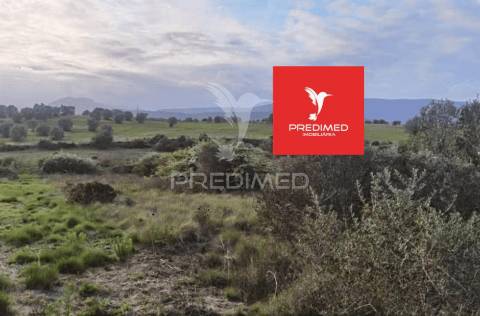 Terreno rústico, zibreira / torres novas