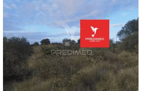 Terreno rústico, zibreira / torres novas