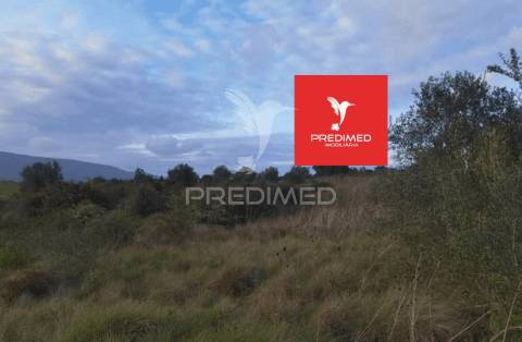 Terreno rústico, zibreira / torres novas