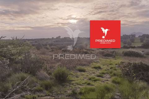 Terreno rústico, zibreira / torres novas