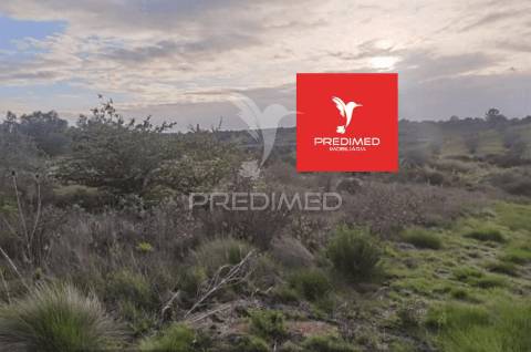 Terreno rústico, zibreira / torres novas