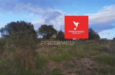 Terreno rústico, zibreira / torres novas