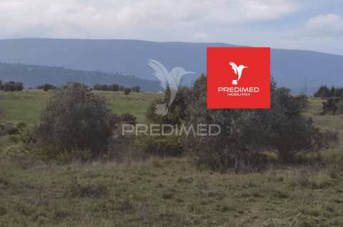 Terreno rústico, zibreira / torres novas