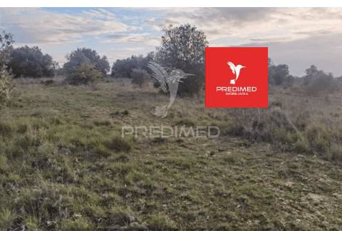 Terreno rústico, zibreira / torres novas