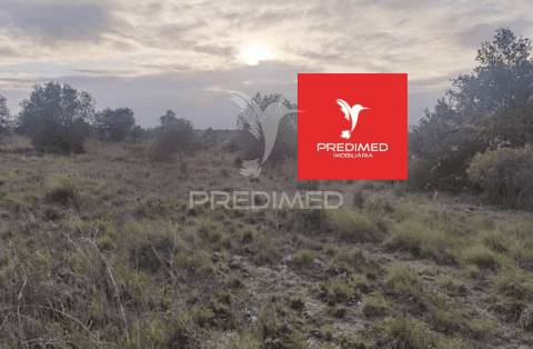 Terreno rústico, zibreira / torres novas