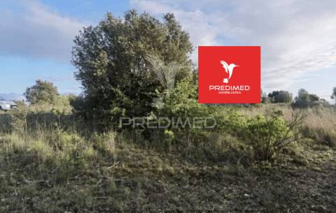 Terreno rústico, zibreira / torres novas