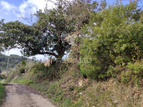 Terreno urbano para construção de armazém  ribafria