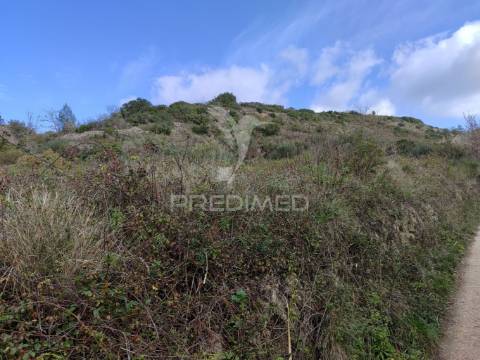 Terreno urbano para construção de armazém  ribafria