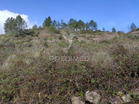 Terreno urbano para construção de armazém  ribafria
