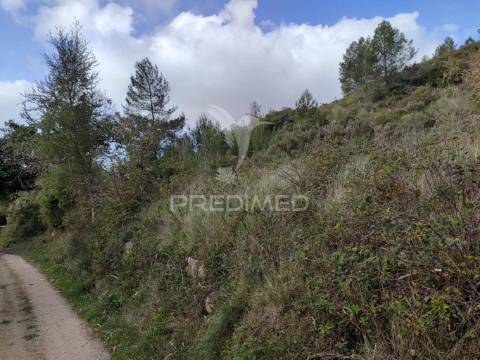 Terreno urbano para construção de armazém  ribafria