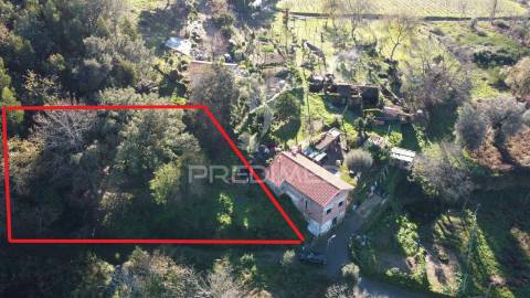 Terreno rústico de 1480m² em s. paio de pousada, a 10 minutos de braga