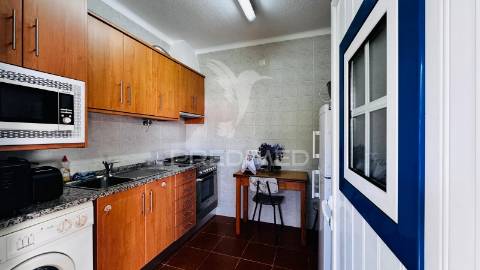 Duas moradias - t3 + t2 - boavista dos pinheiros - odemira