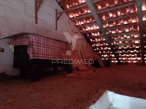 Moradia em são romão - conforto e tradição com vista deslumbrante