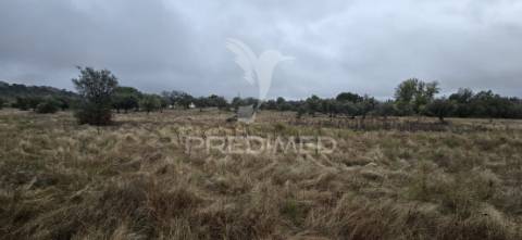 Terreno rústico em portalegre