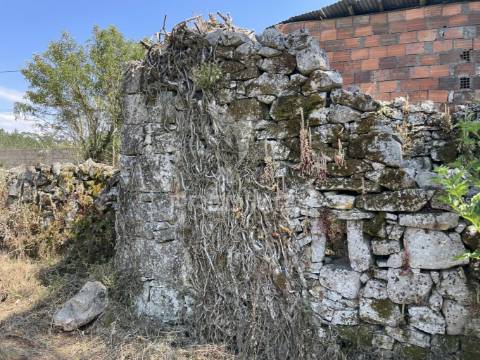 Ruina para reconstrução