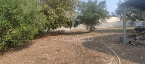 Moradia para restauro