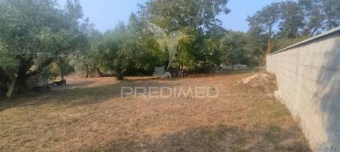 Moradia para restauro