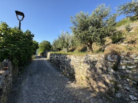 Terreno na zona histórica de ourém