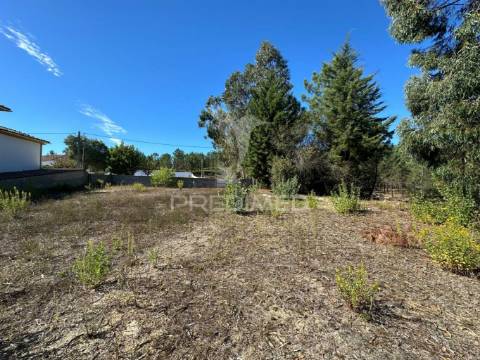 Lote para construção