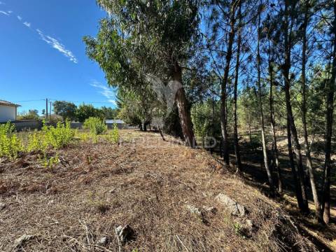 Lote para construção