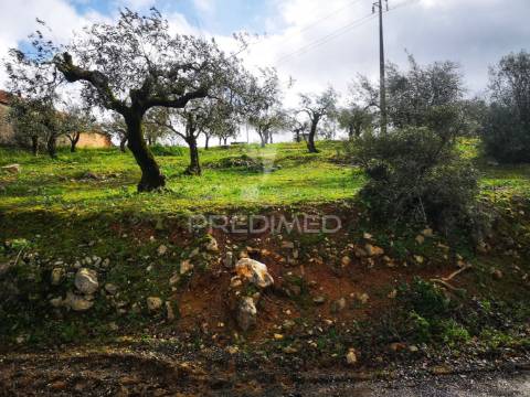 Terreno rústico urbanizável em santa catarina da serra e chainça