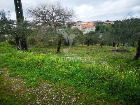 Terreno rústico urbanizável em santa catarina da serra e chainça