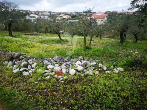 Terreno rústico urbanizável em santa catarina da serra e chainça
