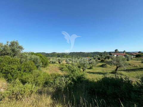 Lotes de terreno para construção em seiça, ourém