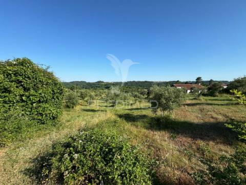 Lotes de terreno para construção em seiça, ourém