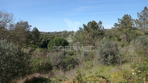 Casa de campo c/ vista barragem, montargil